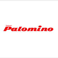 palomino